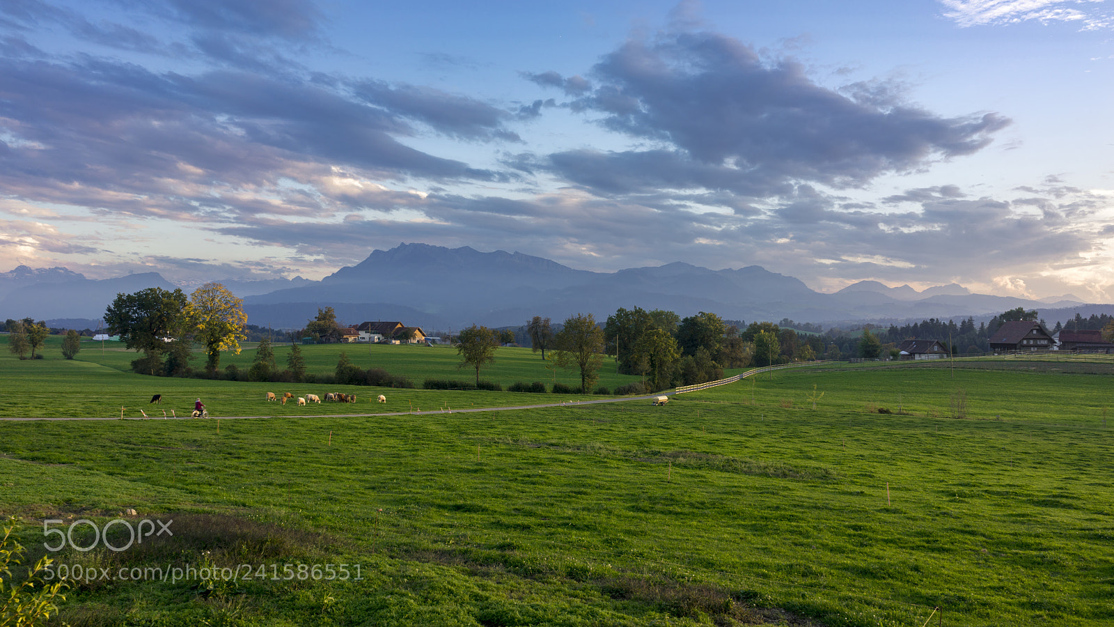 Sony a7R sample photo. Farmers meadow photography