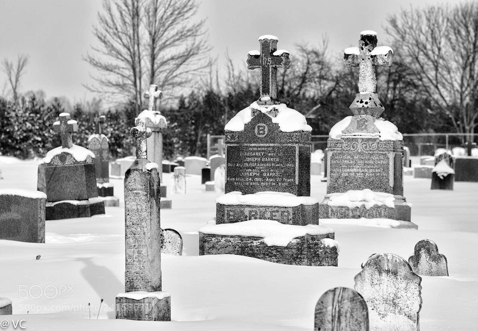 Nikon D810 sample photo. Old cemetery photography