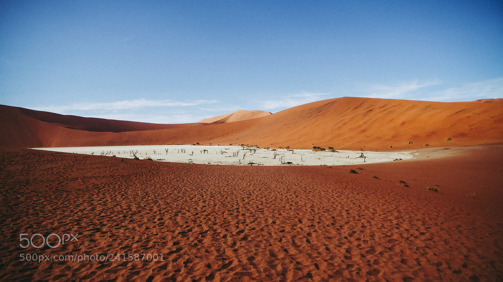 Panasonic DMC-TZ71 sample photo. Deadvlei photography