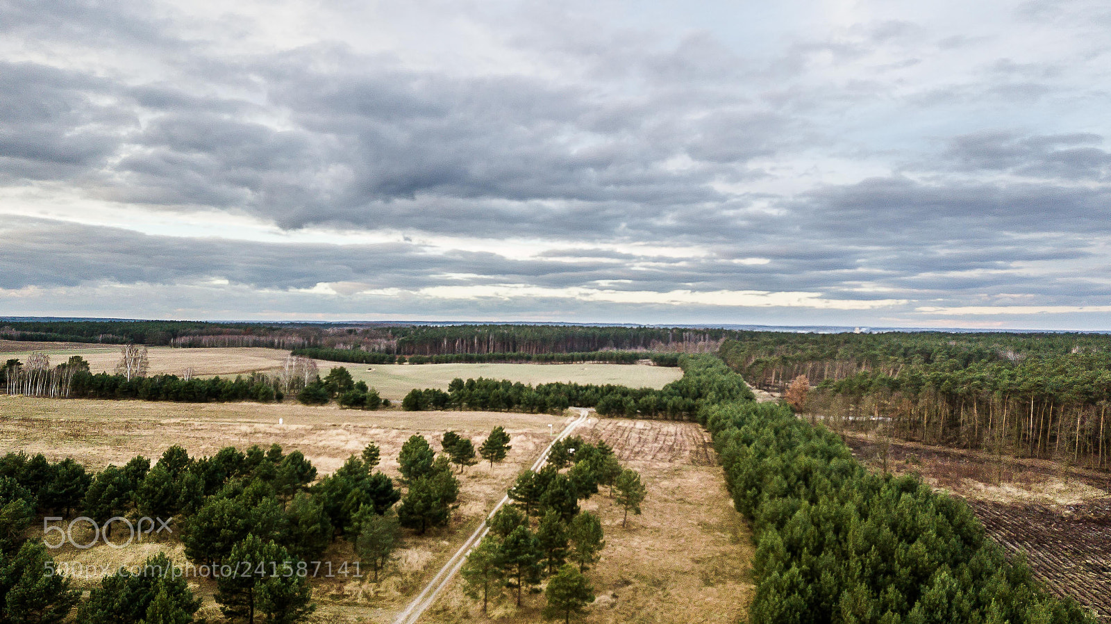 DJI FC220 sample photo. In advance photography