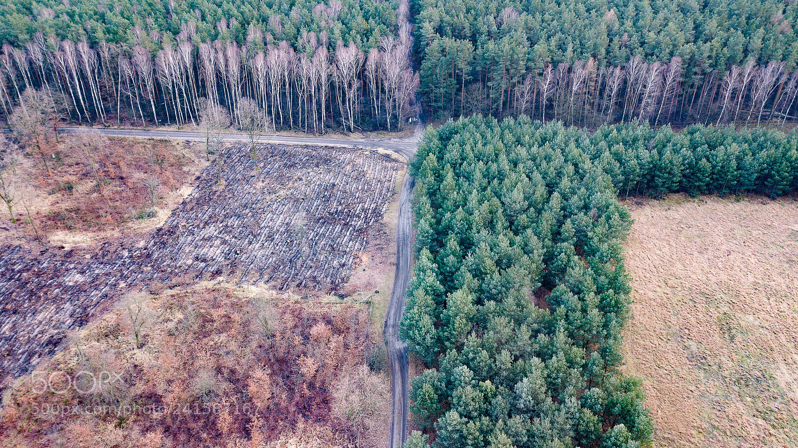 DJI FC220 sample photo. In advance photography