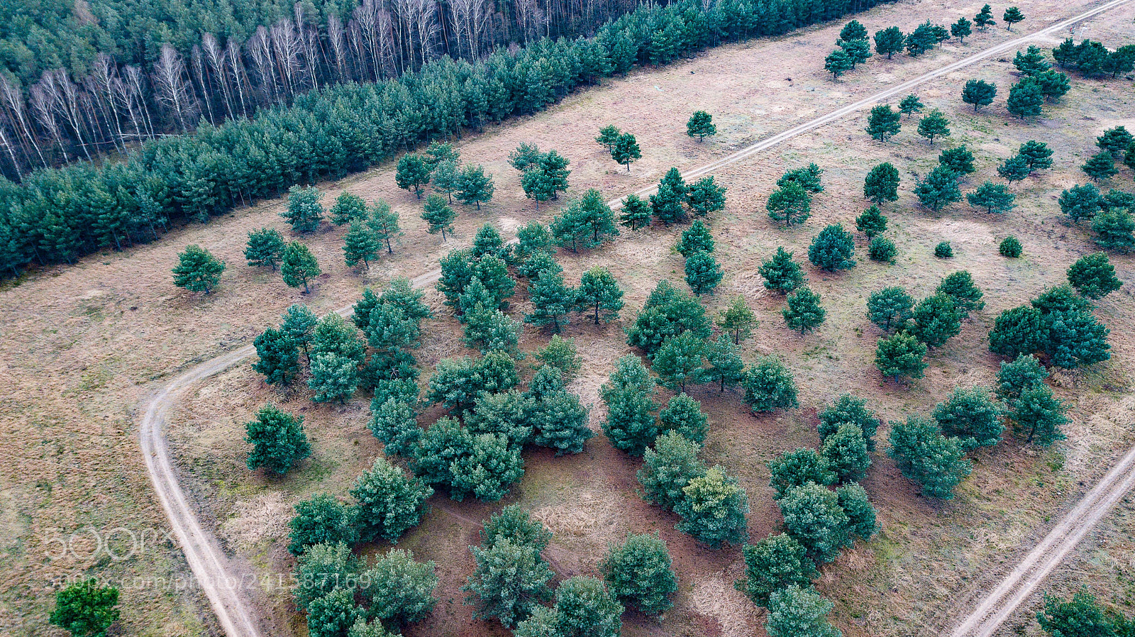 DJI FC220 sample photo. In advance photography