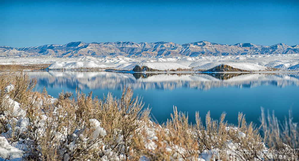 Nikon D800 sample photo. The isolation of winter photography
