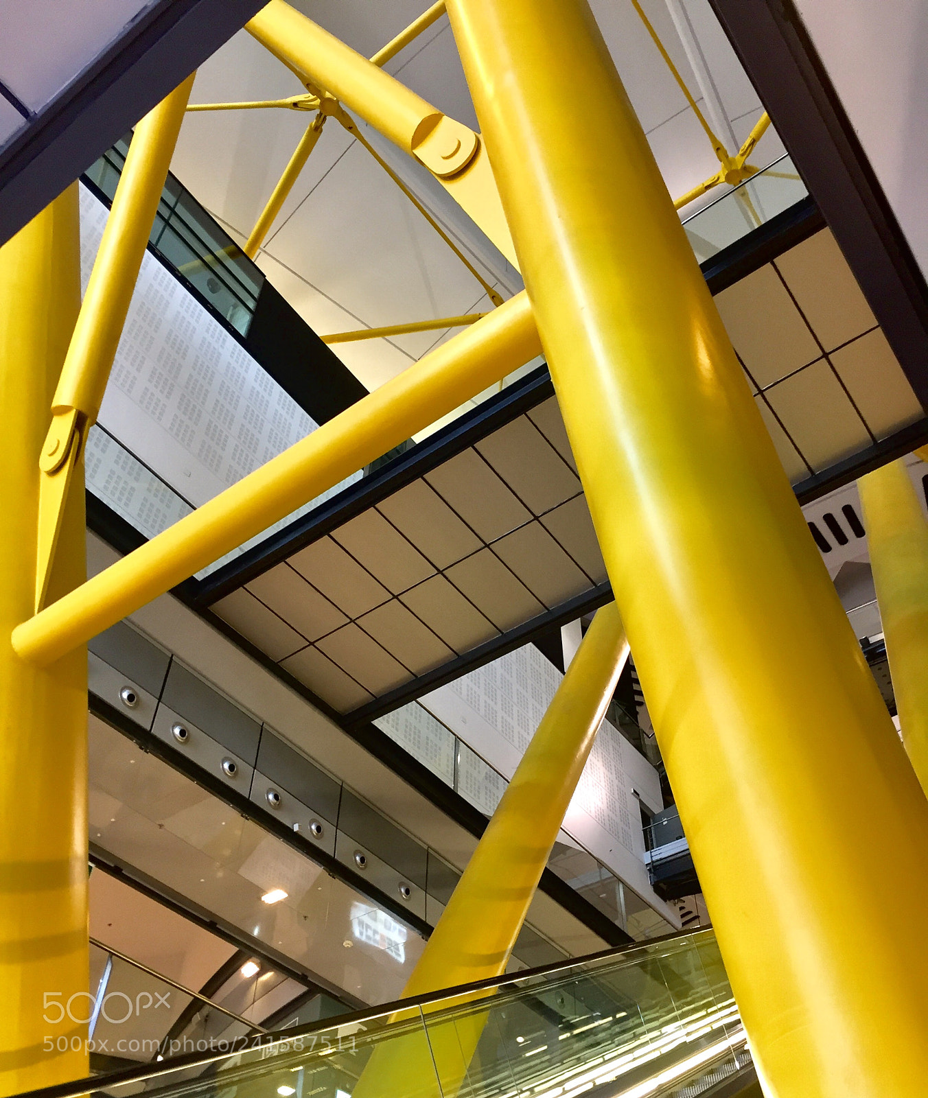 Apple iPhone 6 sample photo. Yellow photography