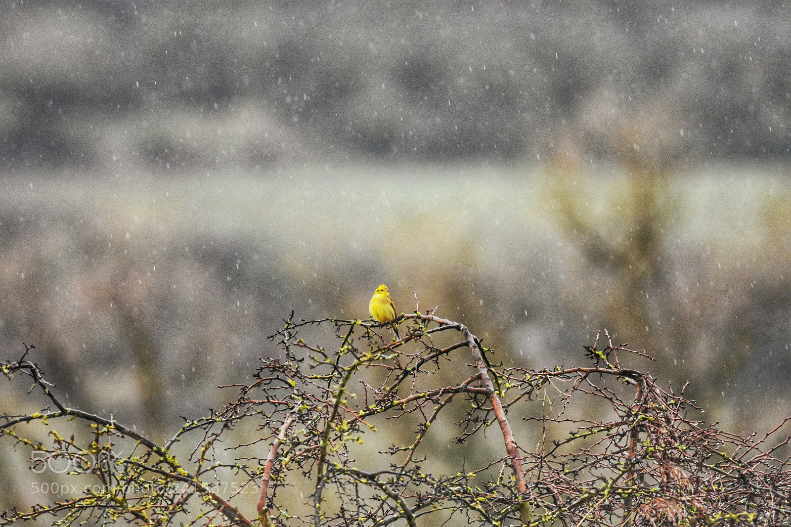 Nikon D7200 sample photo. 'crap weather' photography