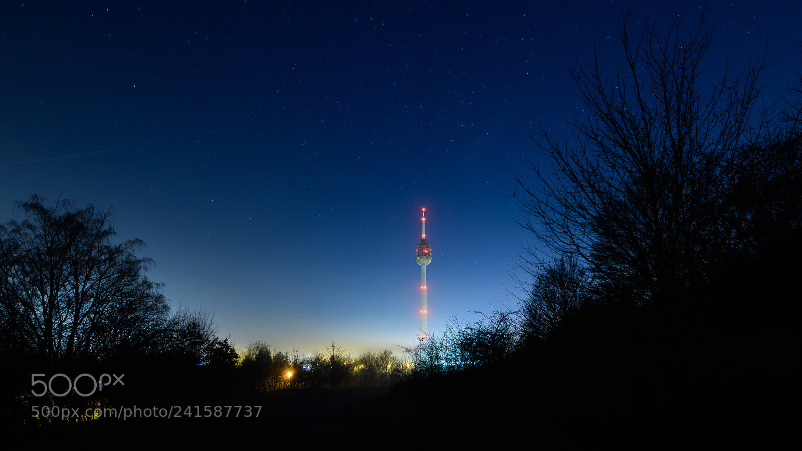 Nikon D500 sample photo. Rise form the dusk photography