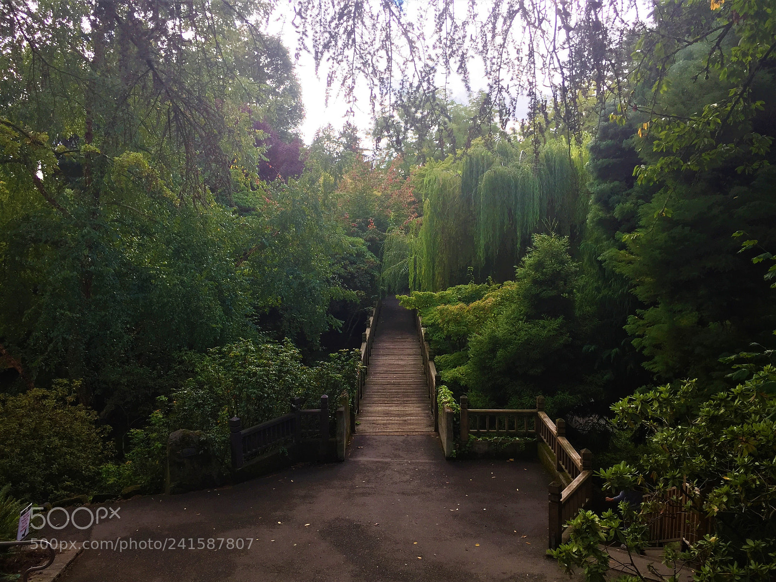 Apple iPhone 6 sample photo. Bridge photography