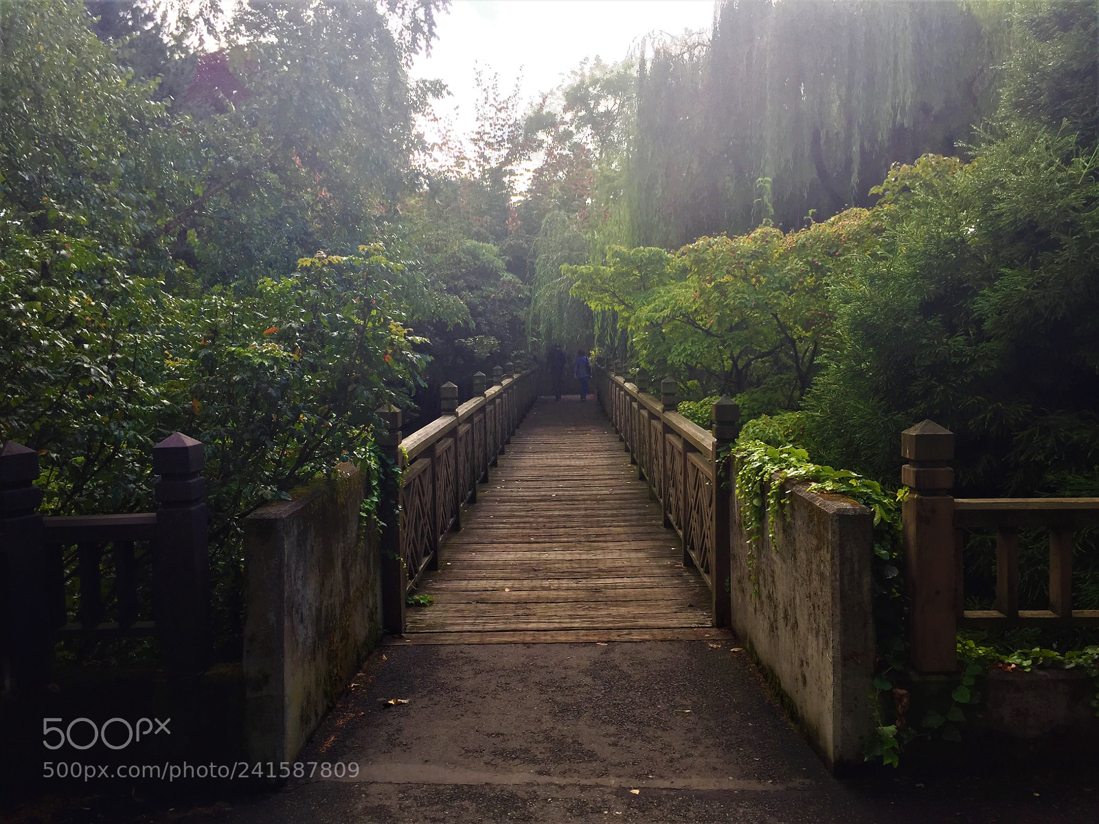 Apple iPhone 6 sample photo. Bridge photography