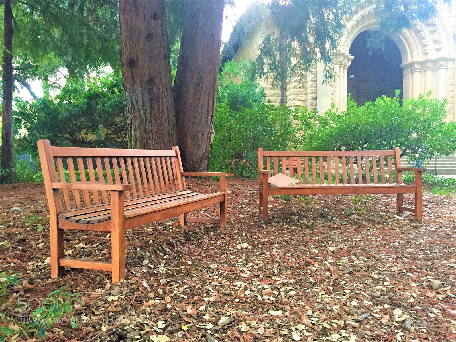 Apple iPhone 6 sample photo. Bench photography
