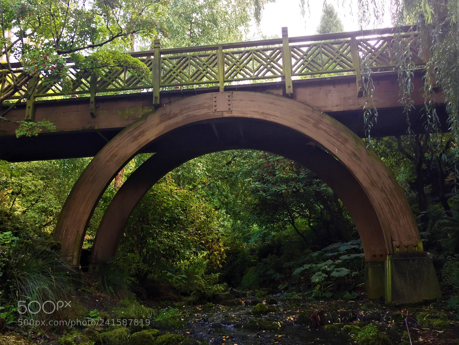 Apple iPhone 6 sample photo. Bridge photography