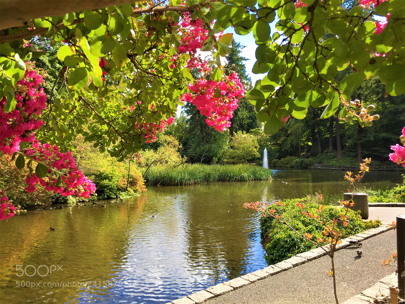 Apple iPhone 6 sample photo. Park photography