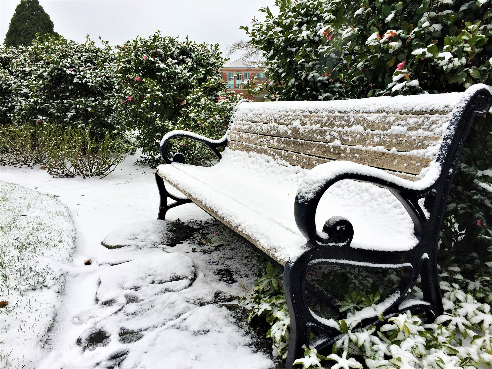 Apple iPhone 6 sample photo. Winter photography