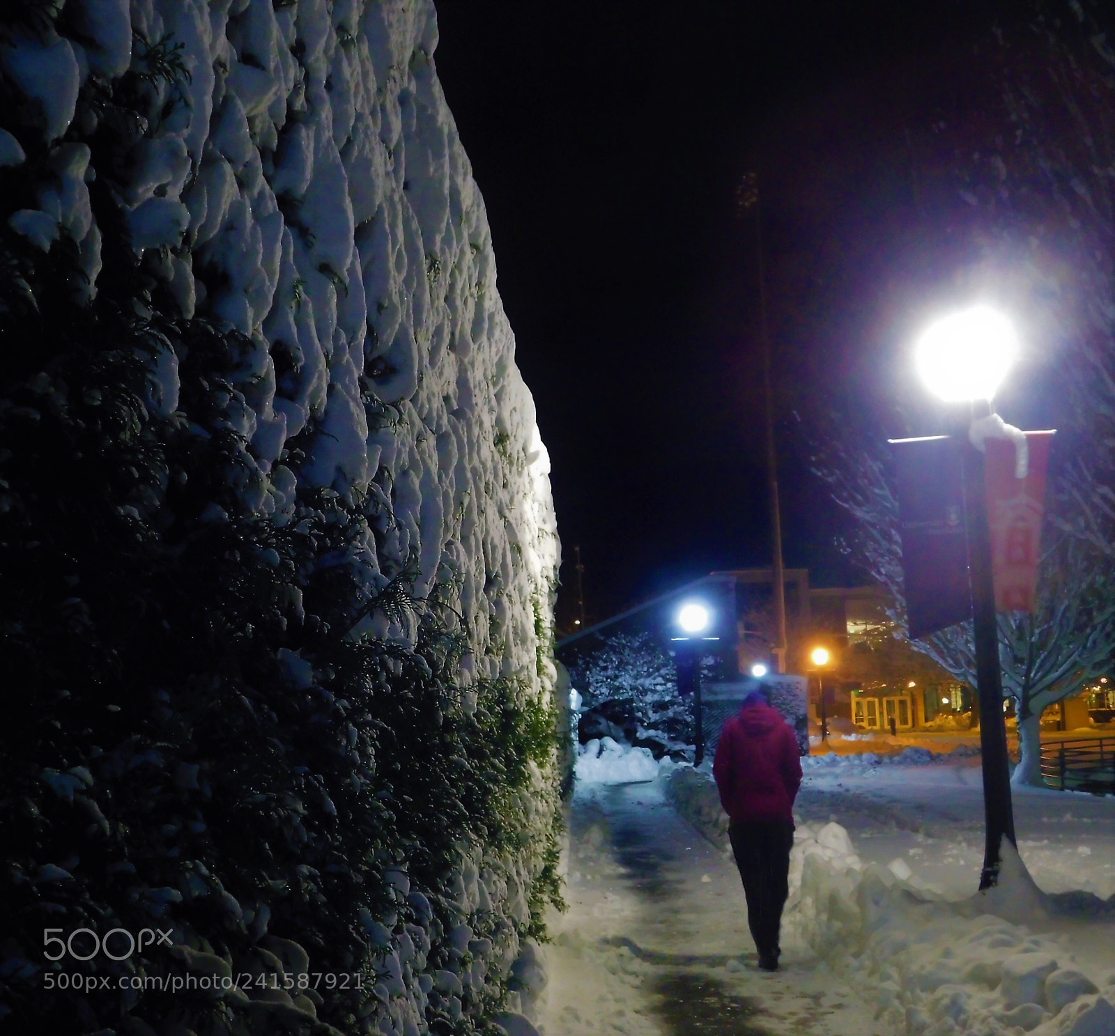 Nikon Coolpix B500 sample photo. Winter photography
