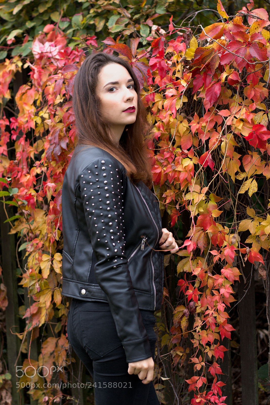 Nikon D7100 sample photo. A photography