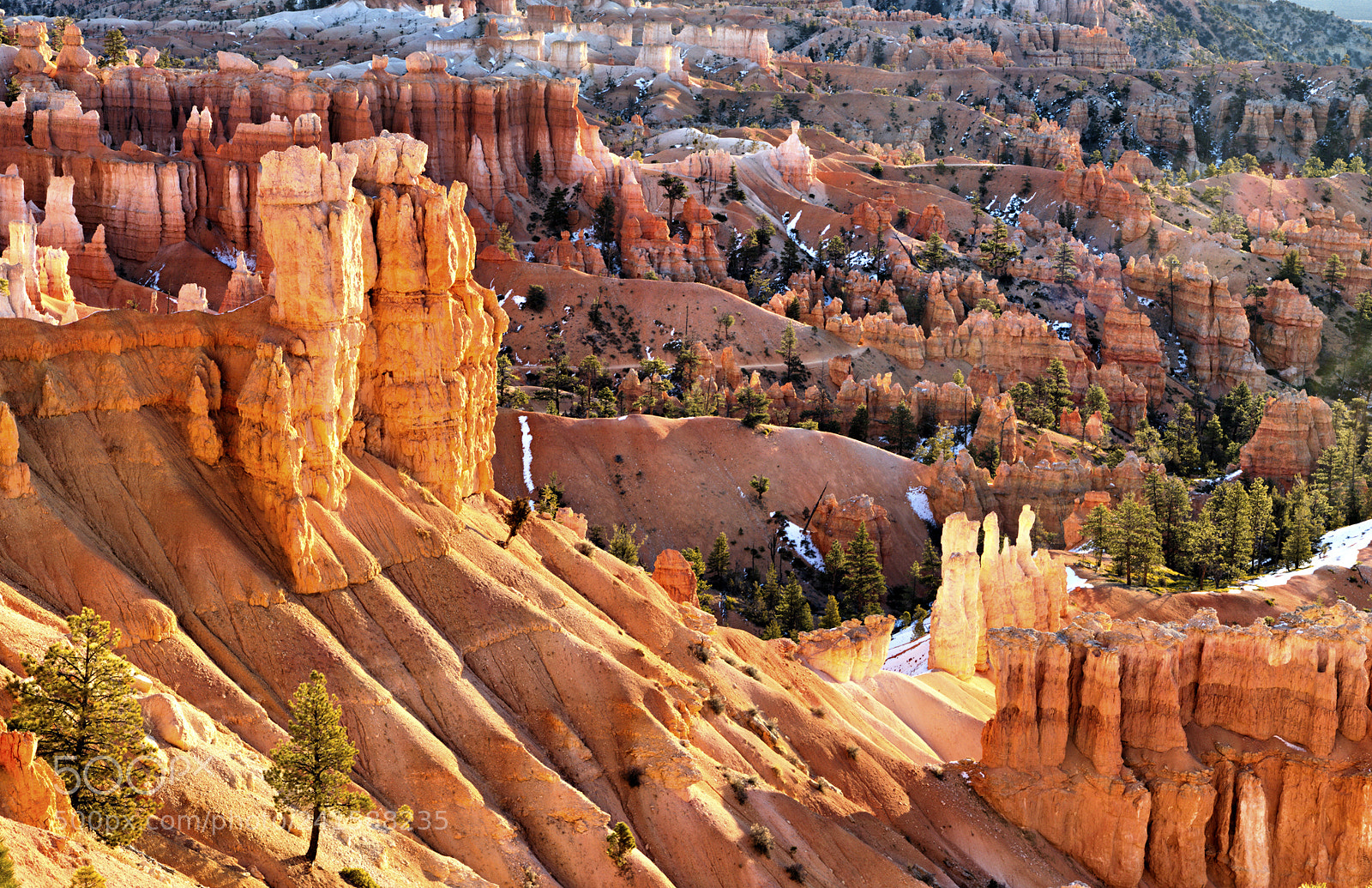 Canon EOS 6D Mark II sample photo. Bryce canyon in the photography