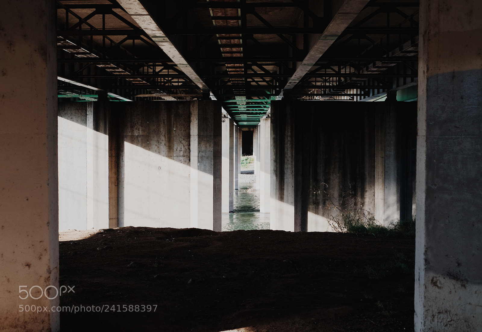 Sony a7 II sample photo. Divided photography