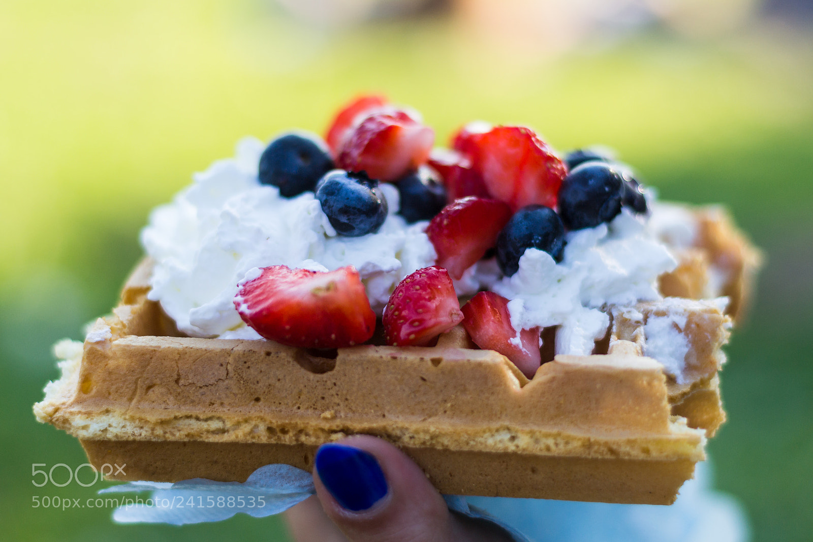 Nikon D3100 sample photo. Waffle with blueberries and photography