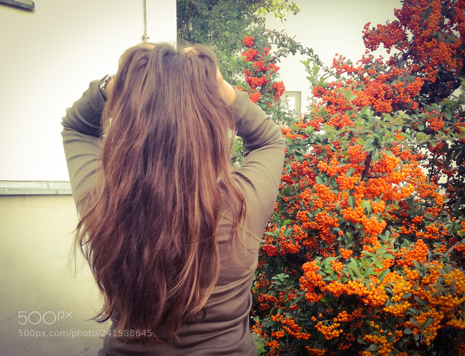 HUAWEI P9 LITE sample photo. ?? photography
