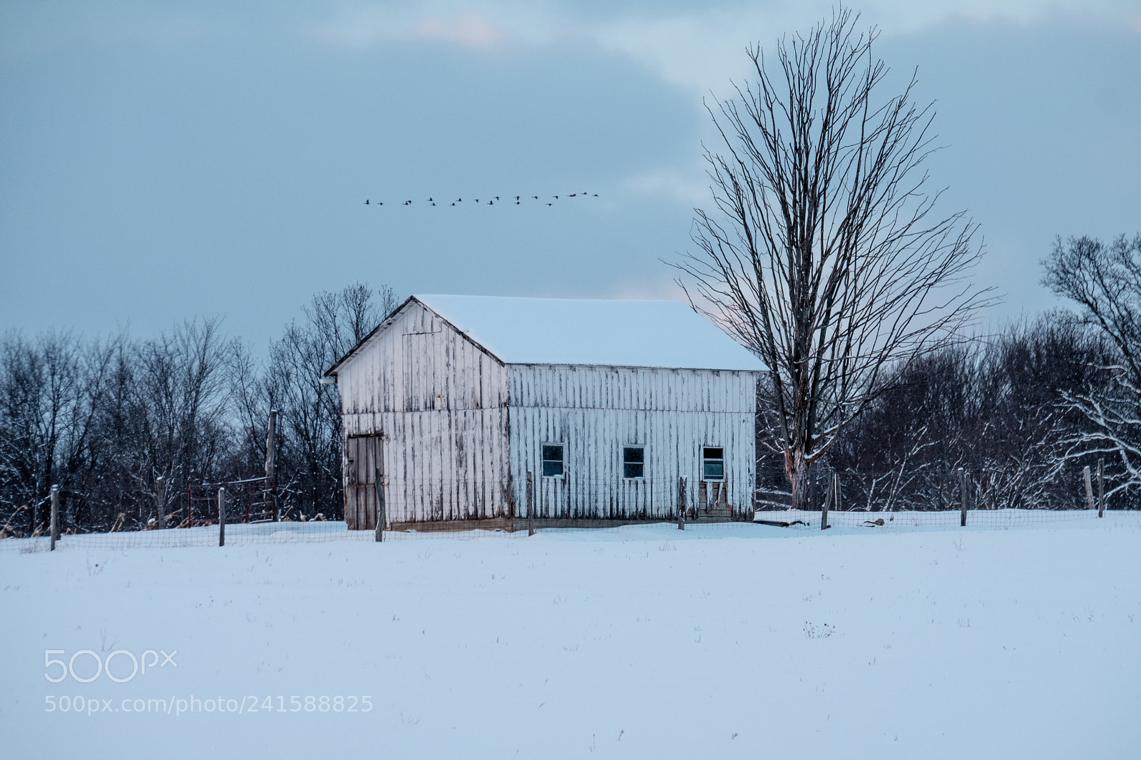 Fujifilm X-T2 sample photo. Amish barn in winter photography