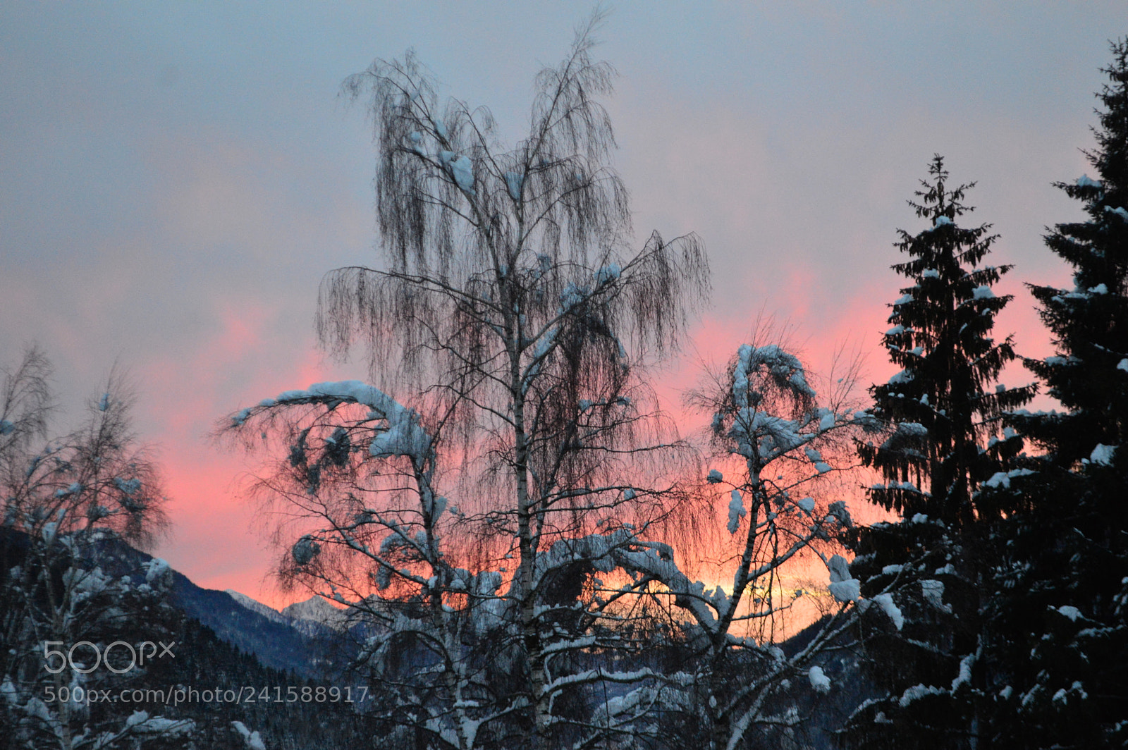 Nikon D3200 sample photo. Tramonto in val rendena 2 photography