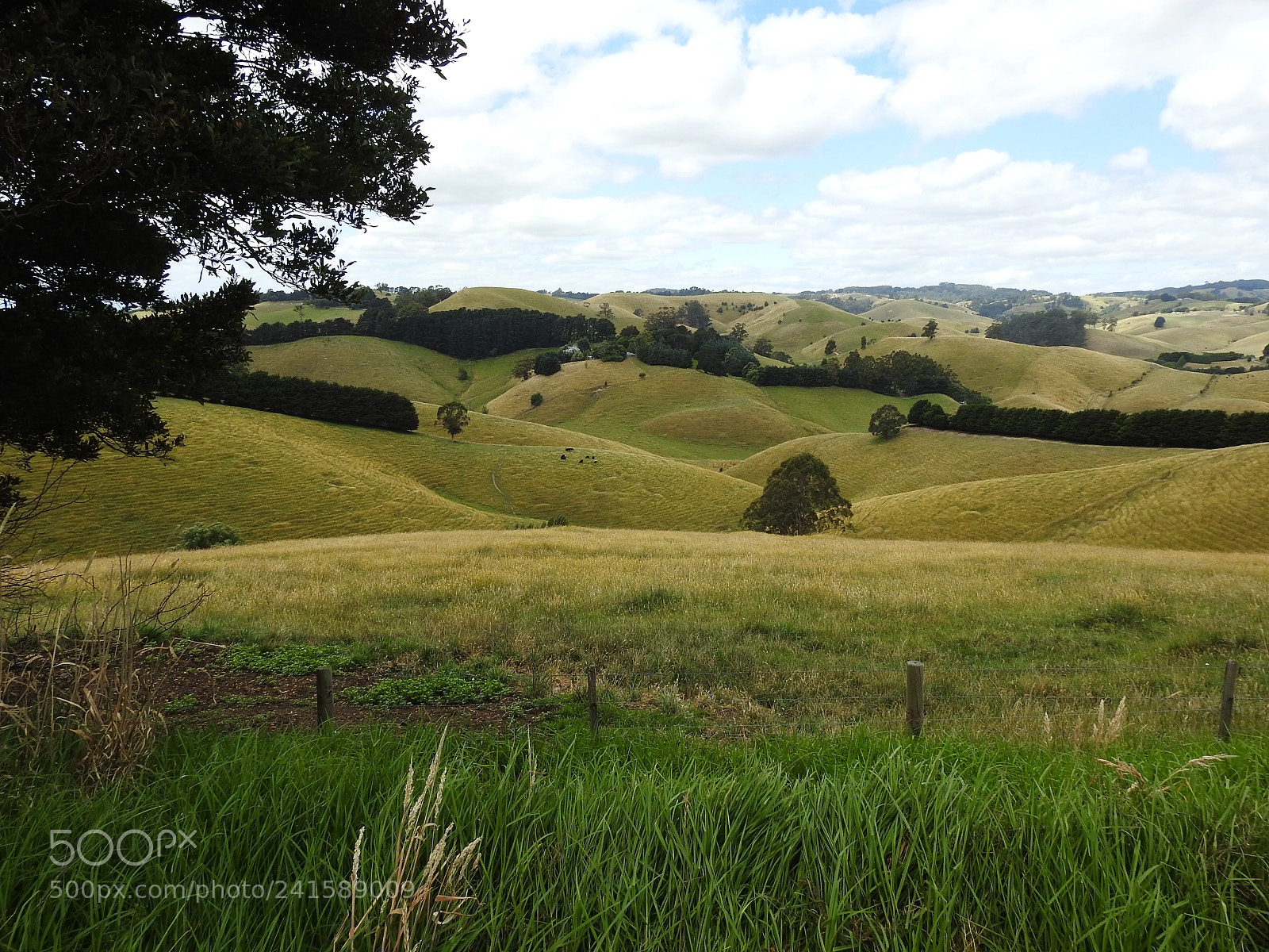 Nikon Coolpix P900 sample photo. Victorian countryside photography