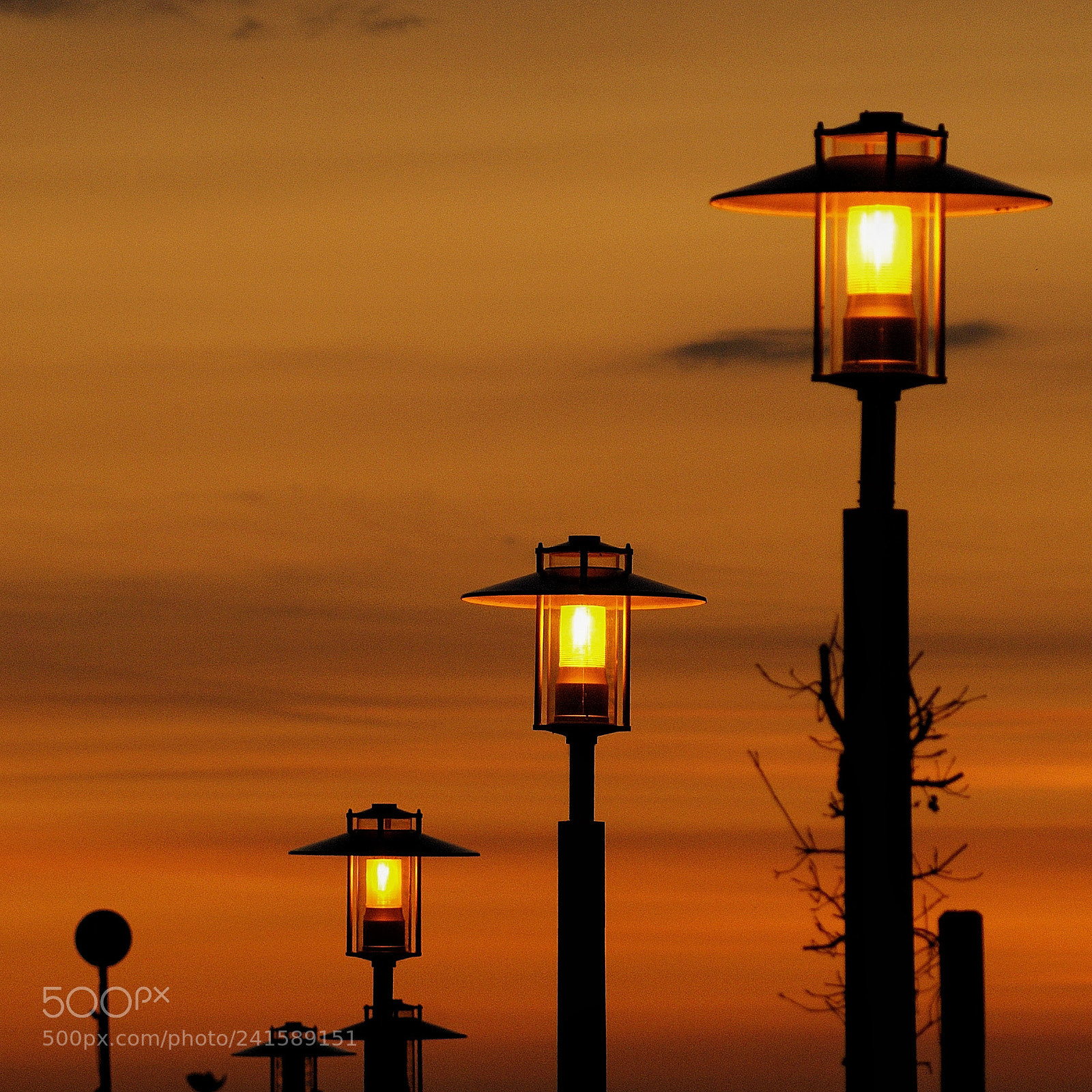 Sony Alpha DSLR-A100 sample photo. Untitled photography
