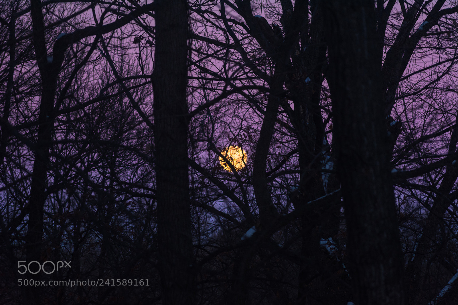 Nikon D7100 sample photo. Super moon set photography