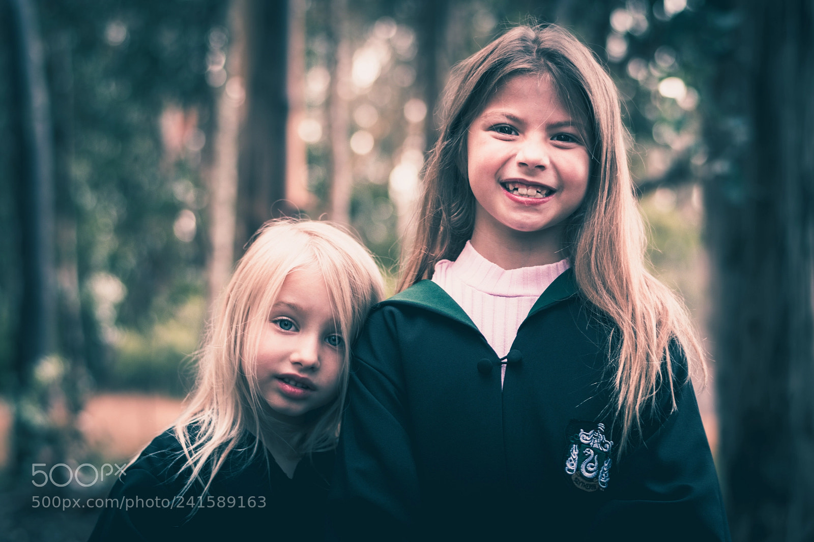 Nikon D5600 sample photo. Forbidden forest adventure photography