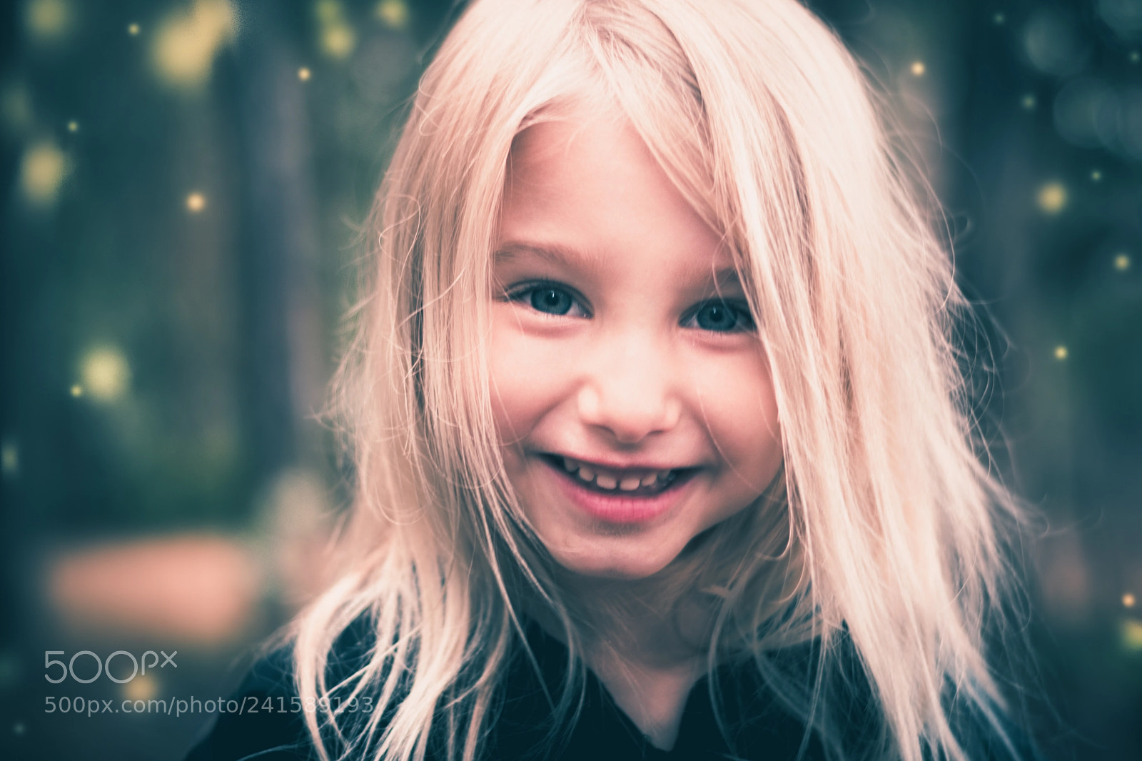 Nikon D5600 sample photo. Forbidden forest adventure photography