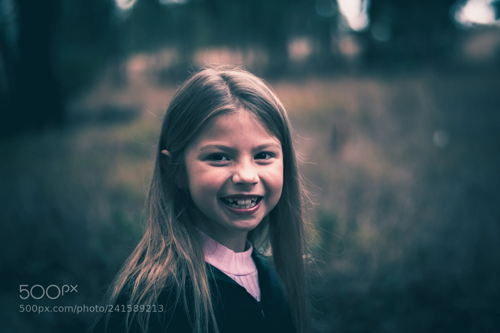 Nikon D5600 sample photo. Forbidden forest adventure photography