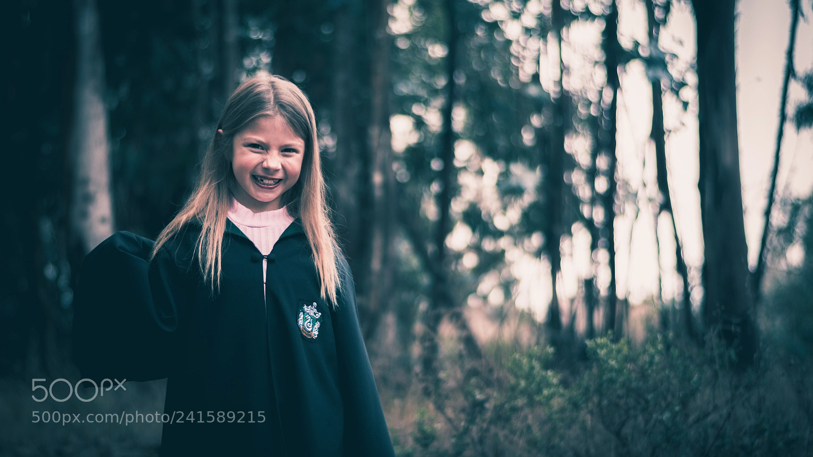 Nikon D5600 sample photo. Forbidden forest adventure photography