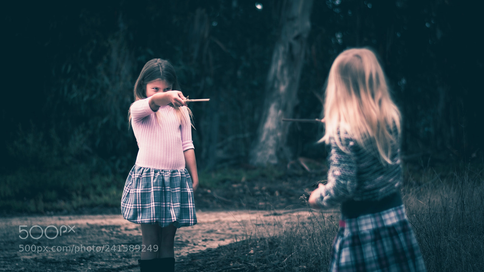 Nikon D5600 sample photo. Forbidden forest adventure photography