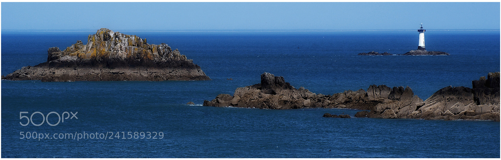 Sony Alpha DSLR-A100 sample photo. Untitled photography