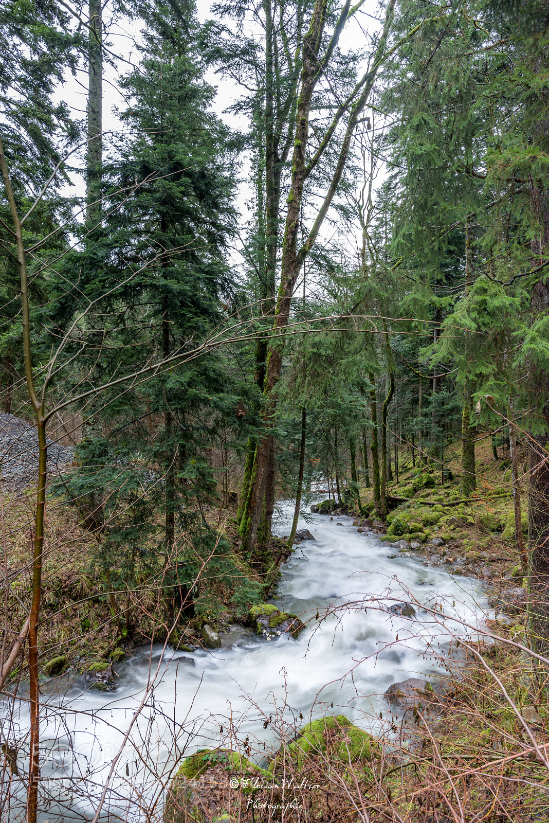 Nikon D800 sample photo. Untitled photography