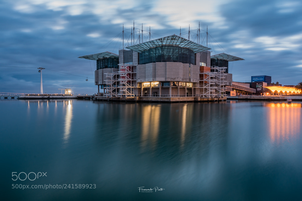 Nikon D7100 sample photo. Sun rise, oceanario photography