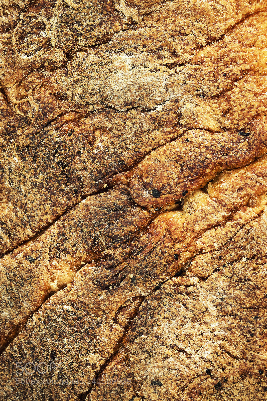 Nikon D5500 sample photo. Caked thick crust of photography