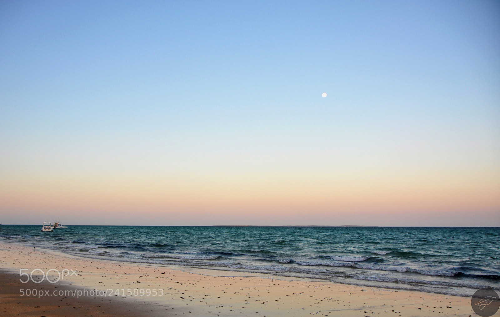 Nikon D90 sample photo. Moon shine! photography