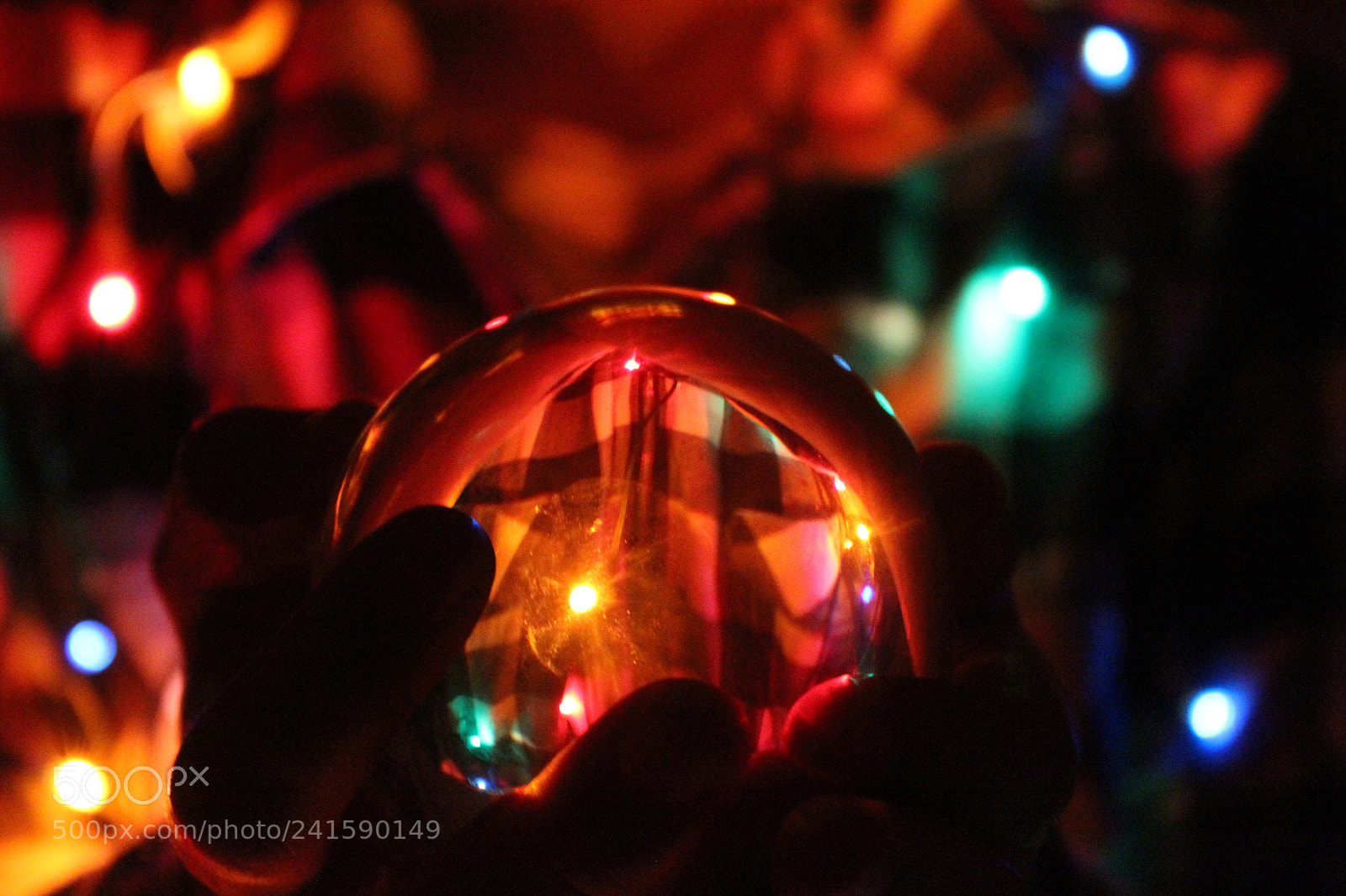 Canon EF-S 18-55mm F3.5-5.6 III sample photo. ✨ christmas ✨ photography