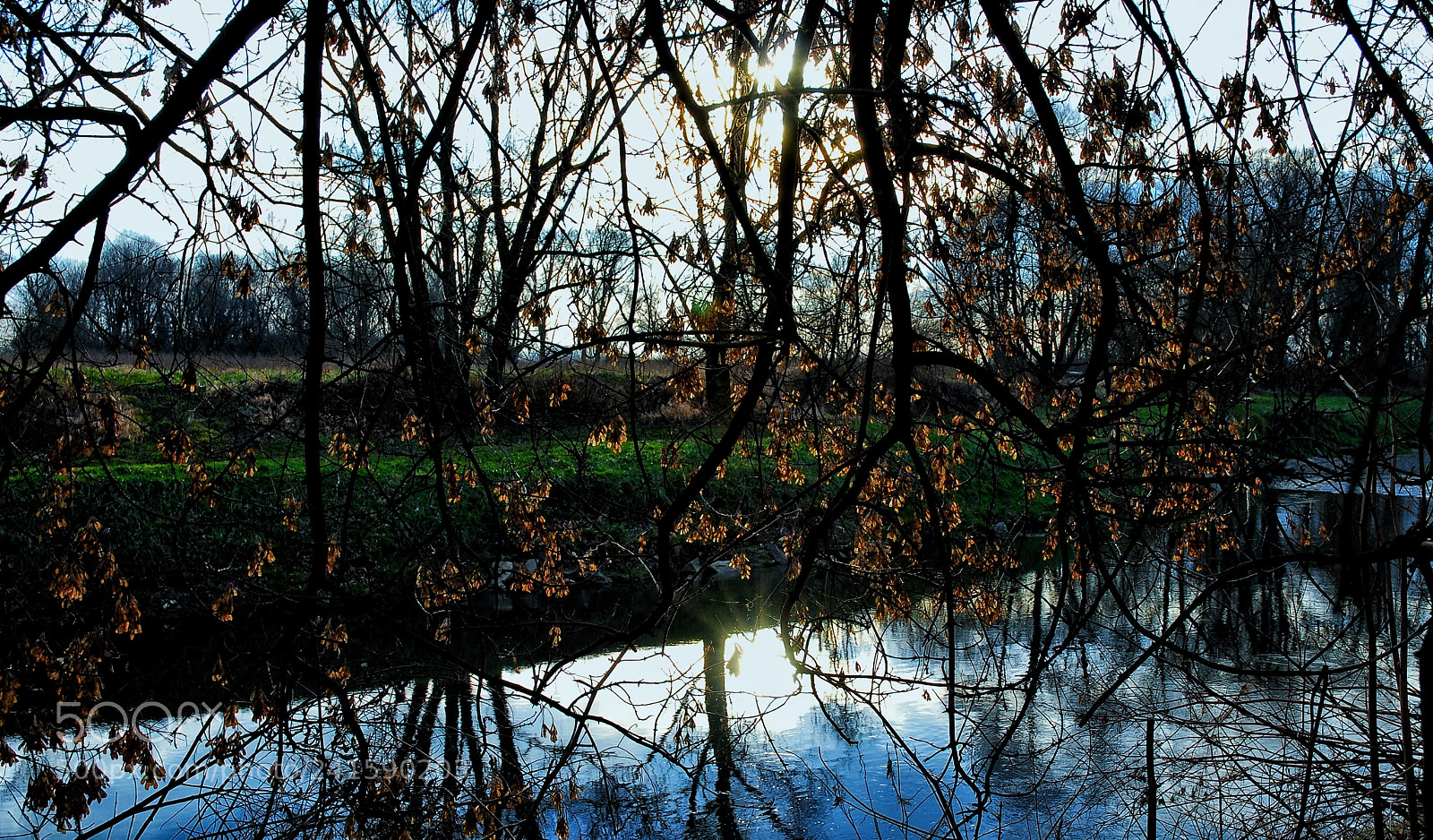 Nikon D40X sample photo. Mirror photography