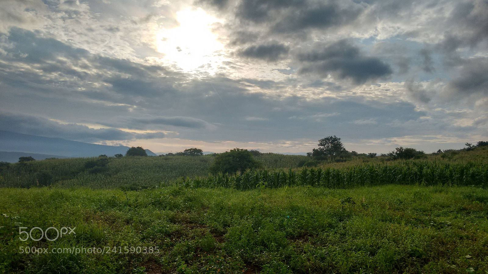 Motorola Moto G (2nd Gen) sample photo. Sunrise photography