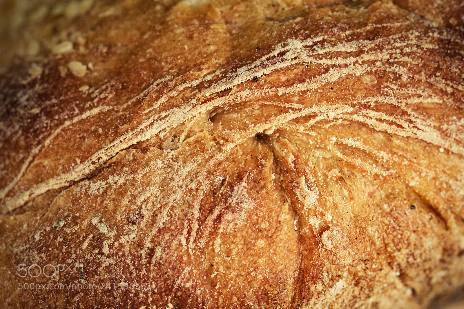 Nikon D5500 sample photo. Line of flour on photography