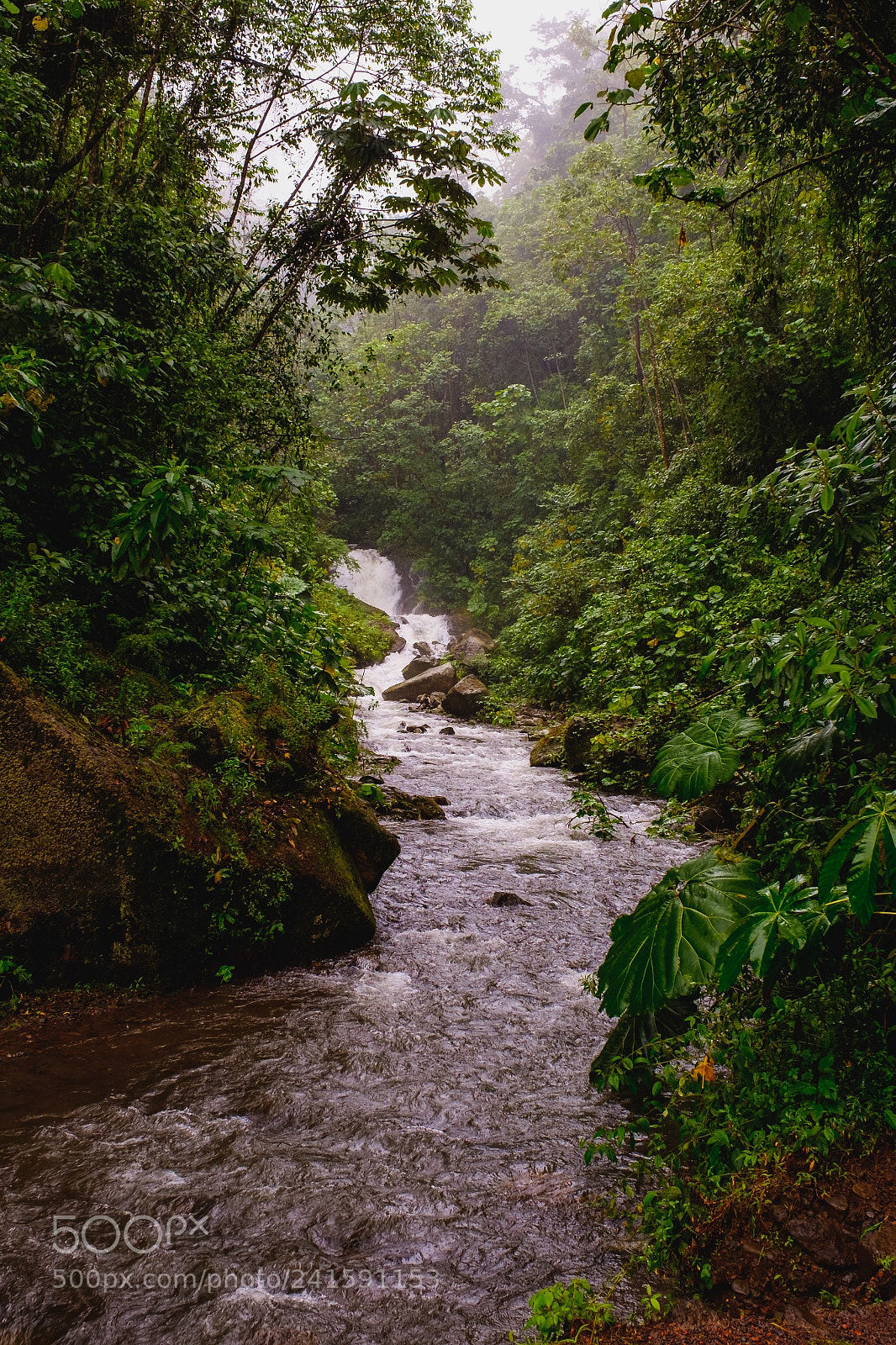 Fujifilm X-T1 sample photo. Waterfall in the jungle photography