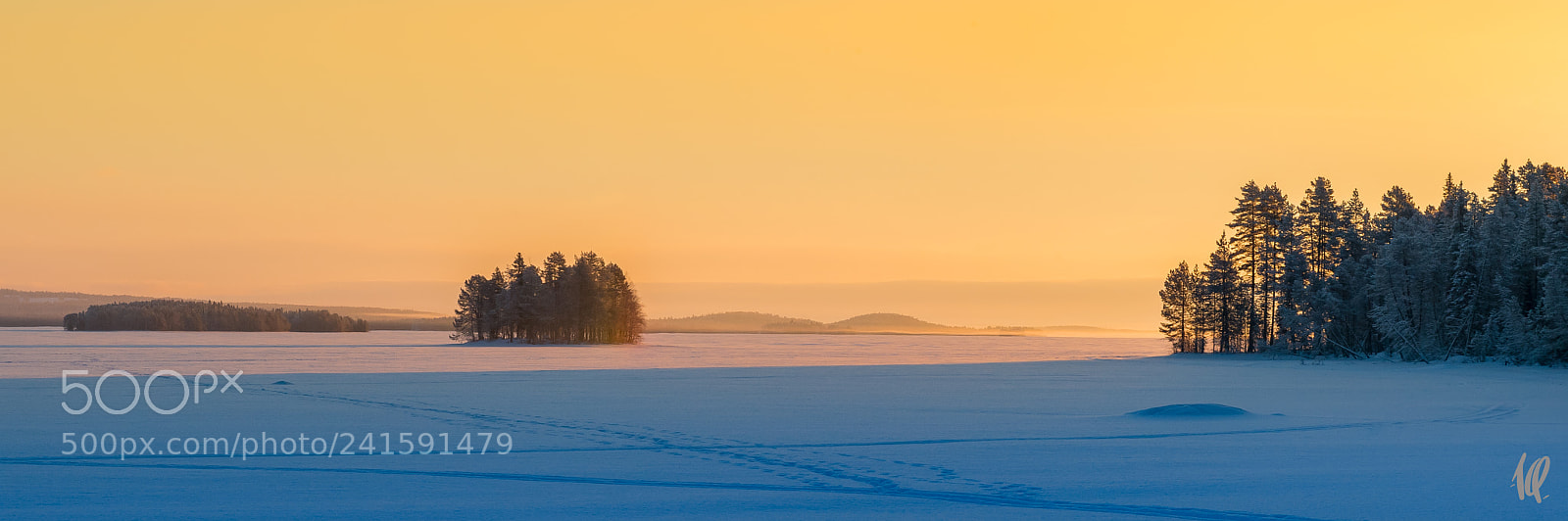 Nikon D5 sample photo. Warm sunset photography
