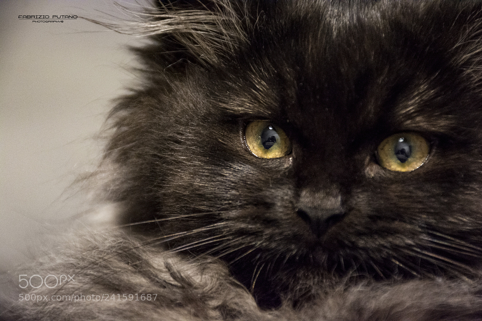 Nikon D7100 sample photo. Black smoke photography