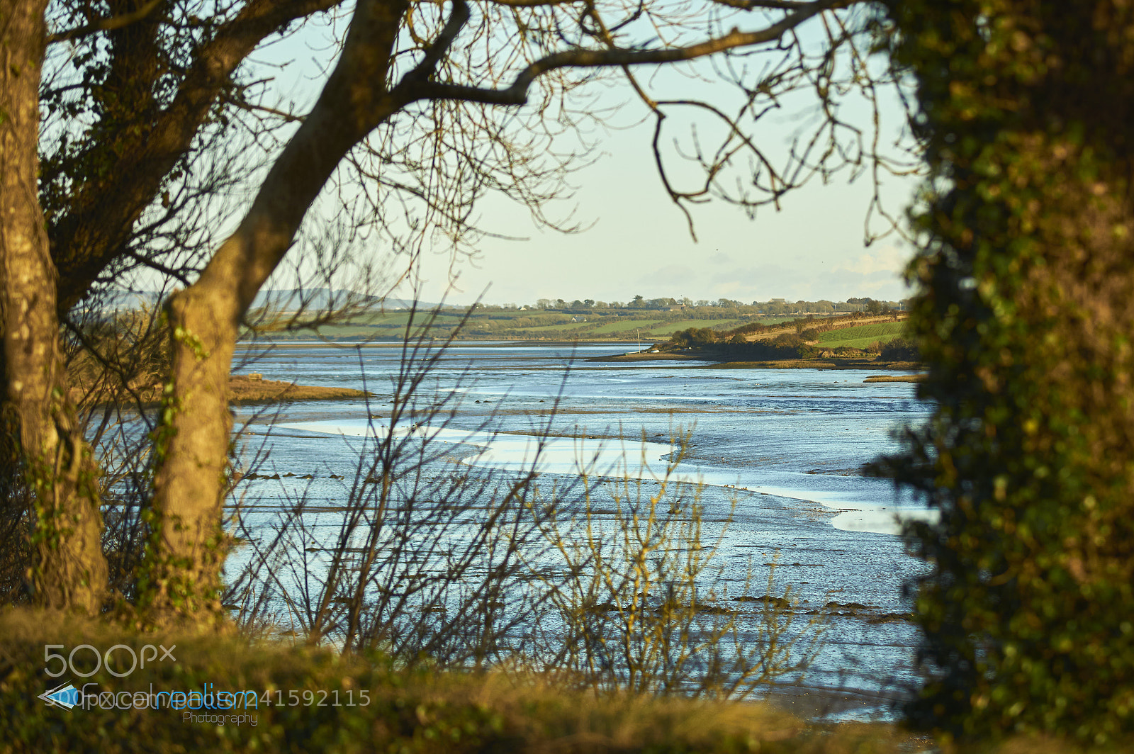 Sony SLT-A77 sample photo. Saltmills estuary photography