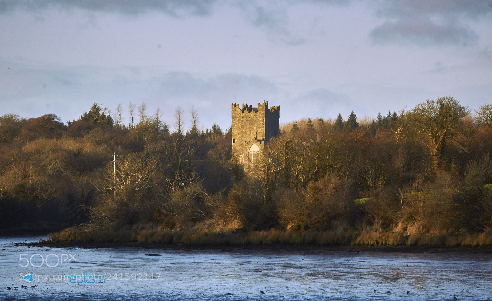 Sony SLT-A77 sample photo. Tintern abbey from saltmills photography
