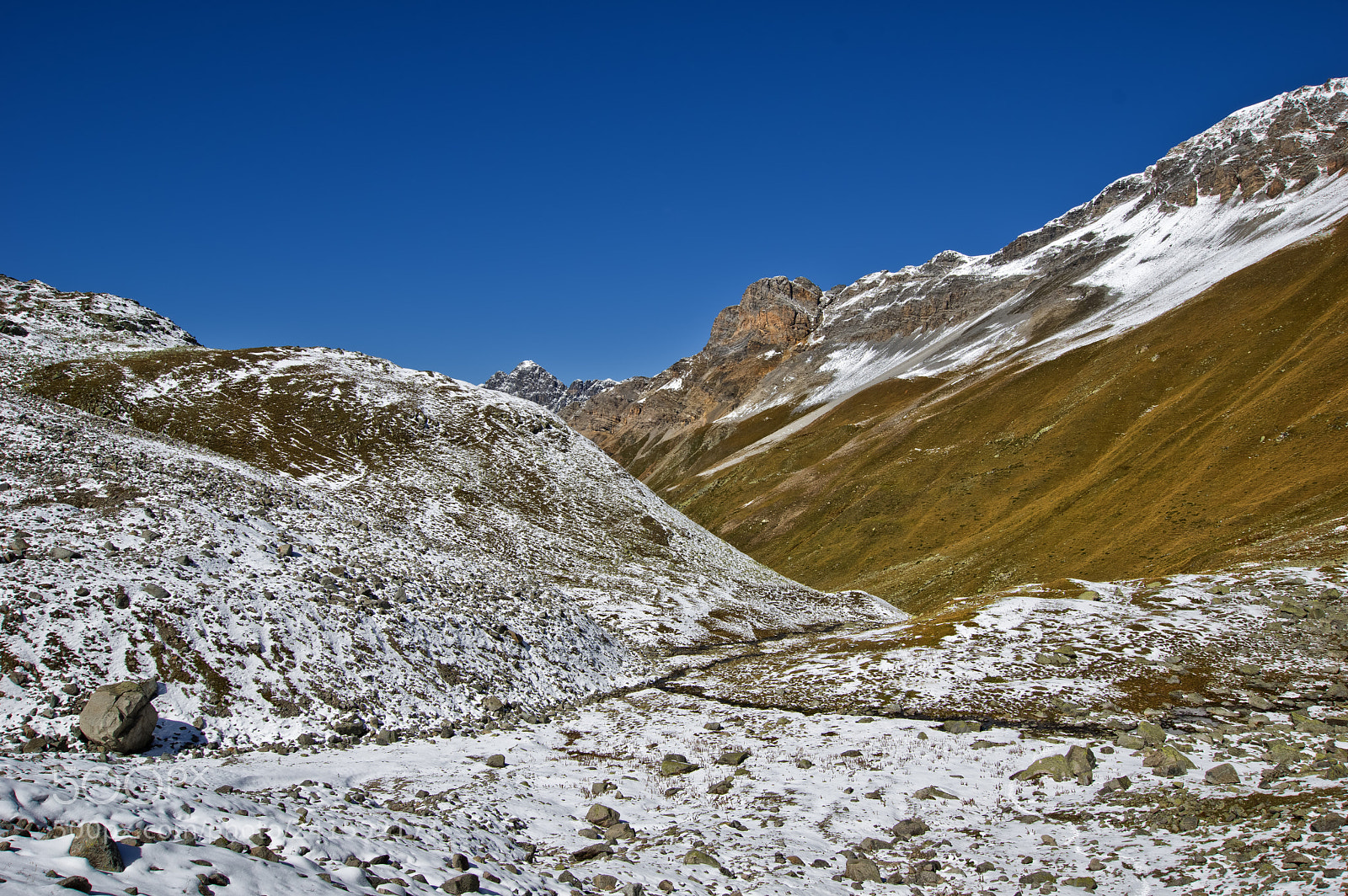 Pentax K-3 sample photo. Sesvenna schartenweg#10 photography