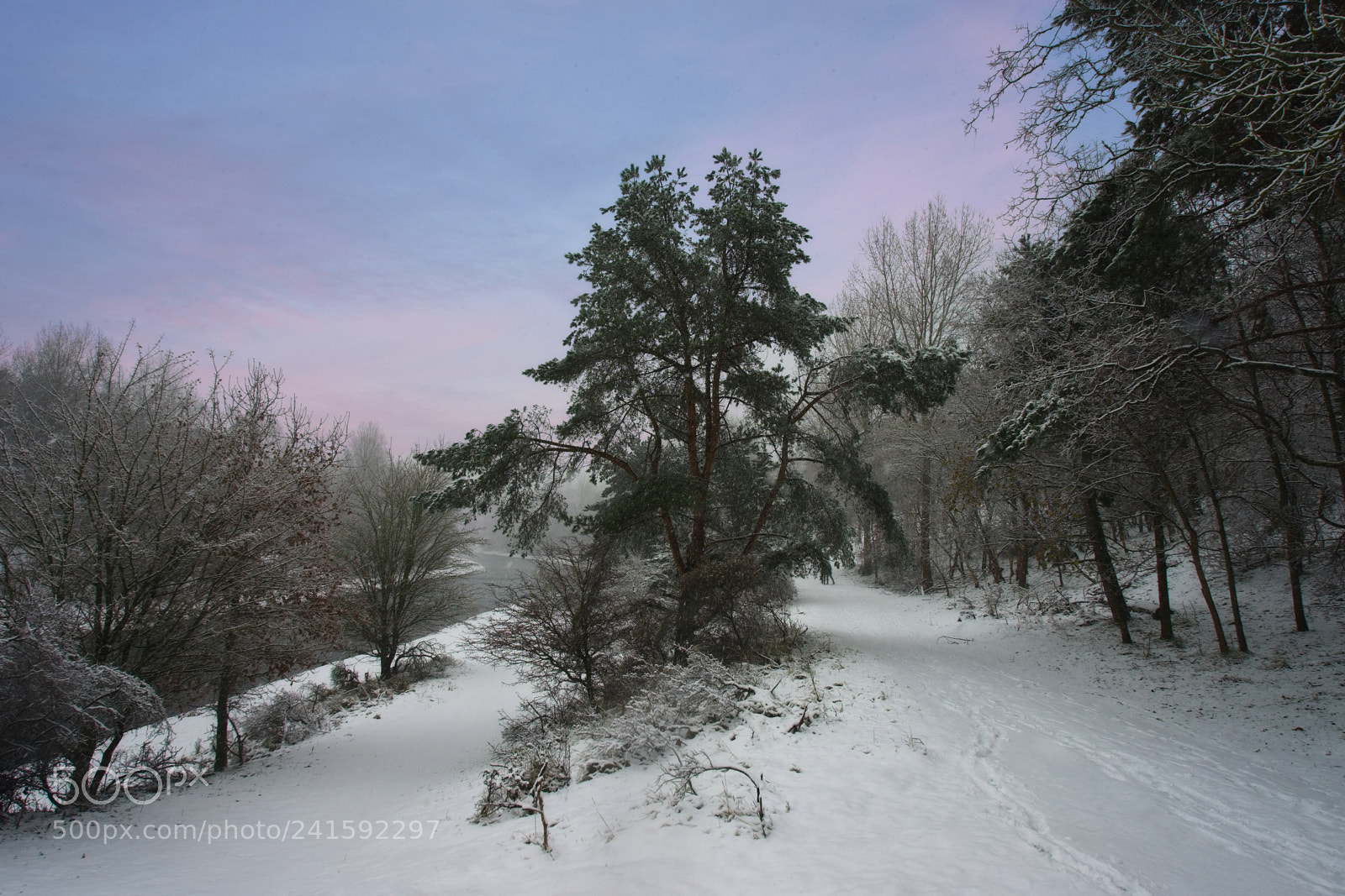 Sony a7 II sample photo. White zandvoortselaan te zandvoort photography