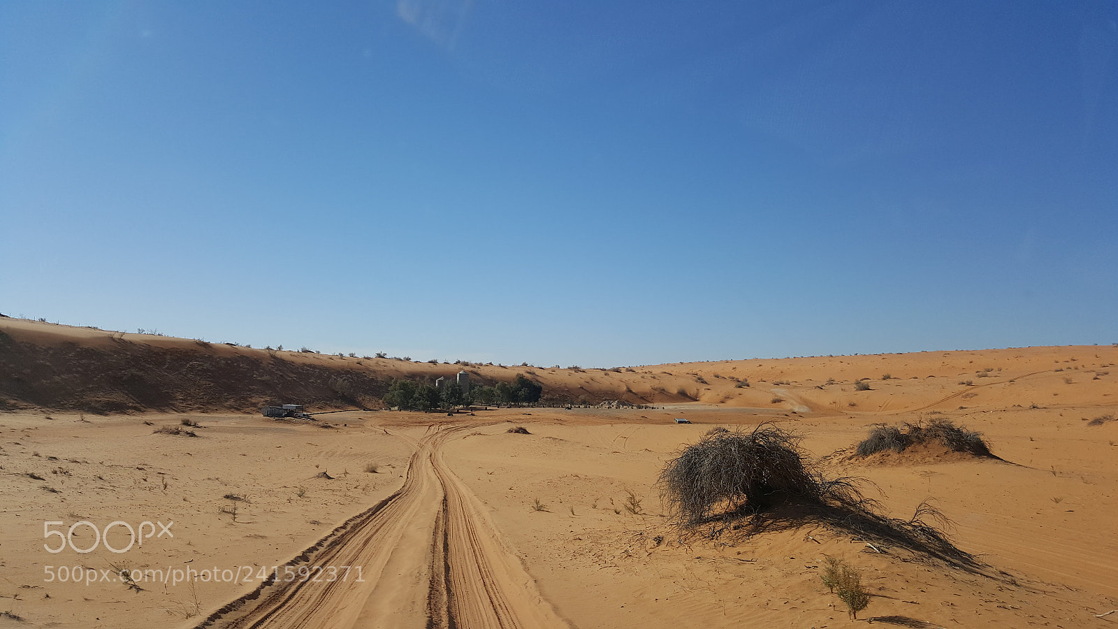 Samsung Galaxy Note5 sample photo. Untitled photography