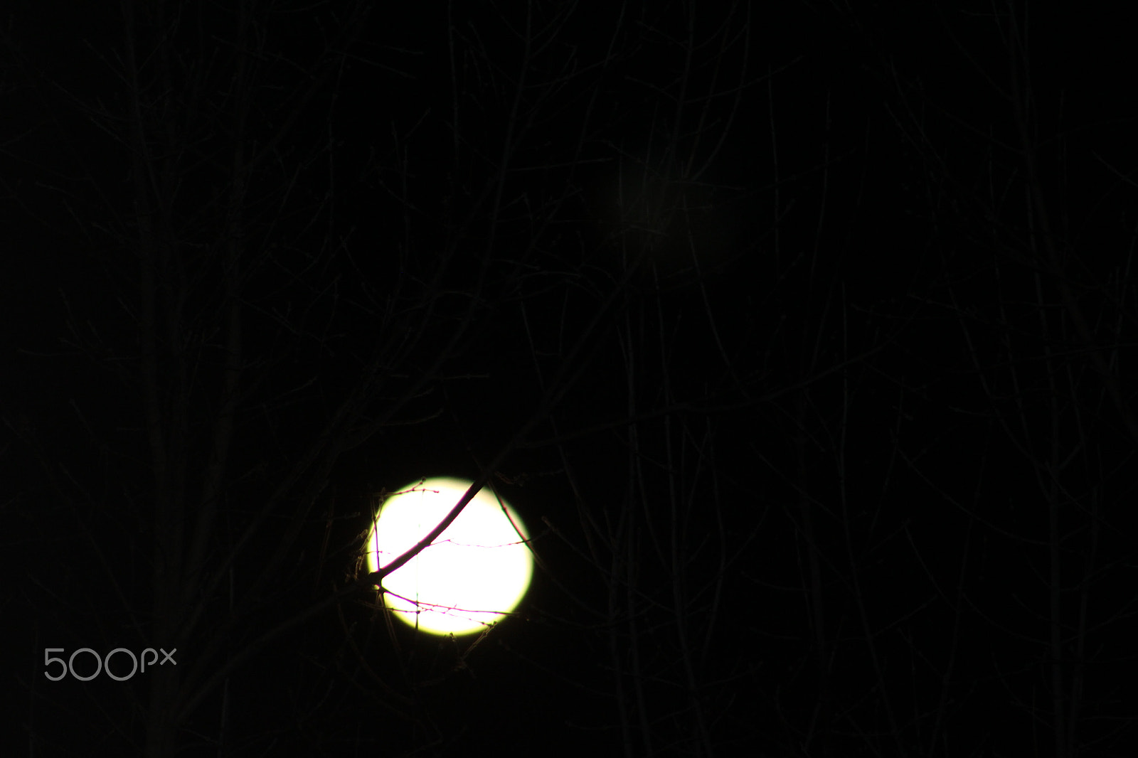 Canon EOS 1200D (EOS Rebel T5 / EOS Kiss X70 / EOS Hi) + EF75-300mm f/4-5.6 sample photo. Wintermoon photography